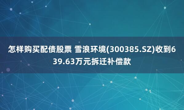 怎样购买配债股票 雪浪环境(300385.SZ)收到639.63万元拆迁补偿款
